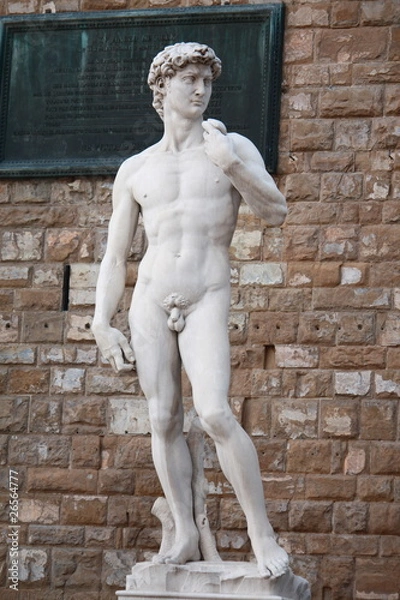 Obraz David Statue in Florence Tuscany