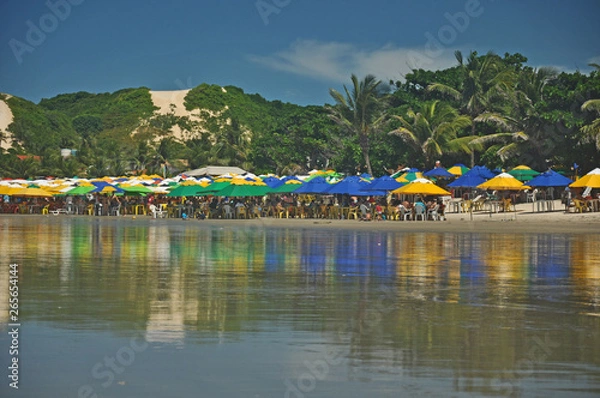 Obraz Praia de GEnipabu