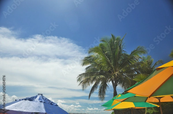 Obraz praia de Genipabu