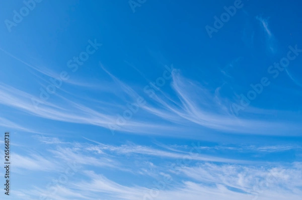 Obraz Błękitne niebo z panoramą chmur cirrus.