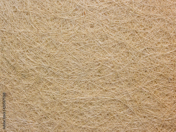 Obraz Pressed horse hair as a background.