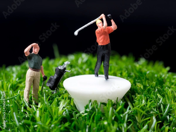 Obraz OLYMPUS DIGITAL CAMERA