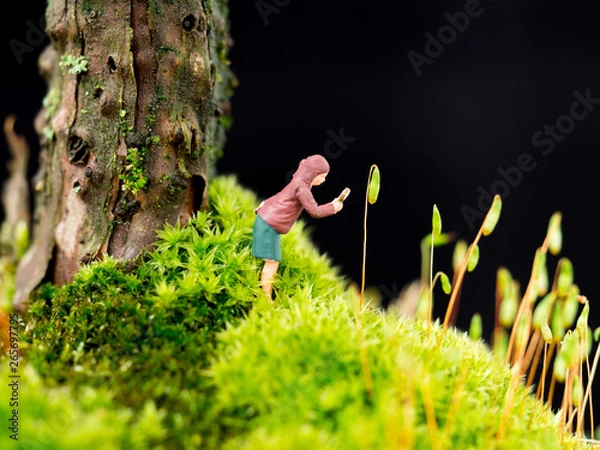 Obraz miniature nature