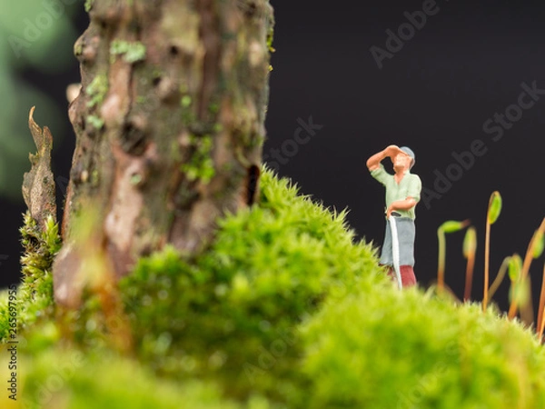 Obraz miniature nature