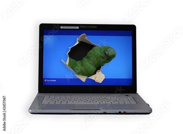 Obraz computer worm