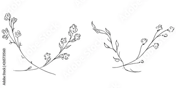 Fototapeta Hand Drawn Illustrations Of Two Branches With Flowers and Leaves Isolated on White. Hand Drawn Sketch of a Flowers. Line art