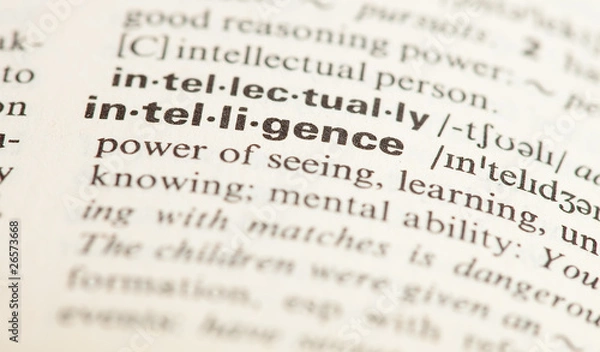 Obraz intellingence