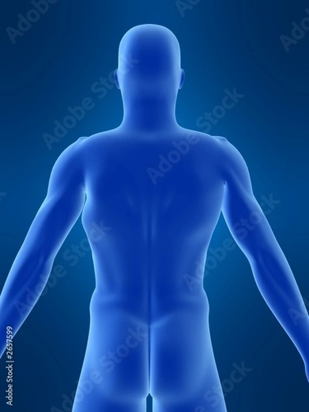 Fototapeta männlicher körper