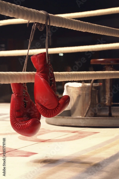 Fototapeta hanging boxing gloves on a rope in vertical
