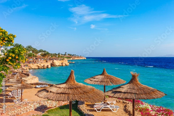 Obraz Sunny resort beach with palm tree at the coast shore of Red Sea in Sharm el Sheikh, Sinai, Egypt, Asia in summer hot. Bright sunny light
