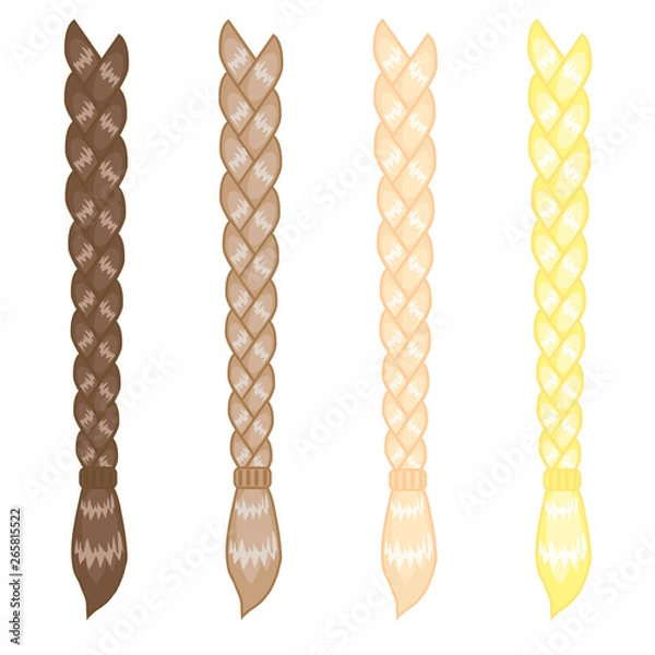 Fototapeta Female various braids on a white background. Vector illustration. 