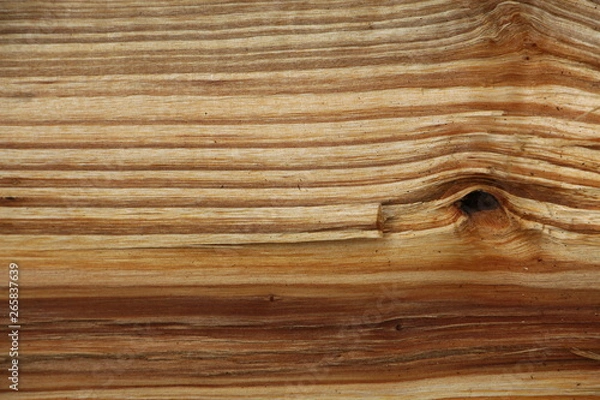 Obraz Wood texture
