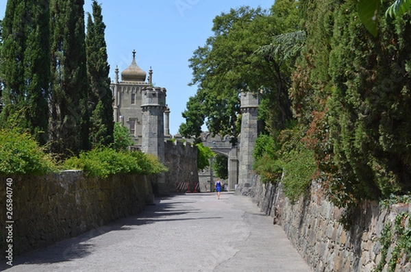 Obraz the Vorontsov Palace with the Park and sculptures