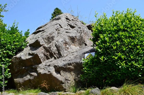 Obraz the Vorontsov Palace with the Park and sculptures