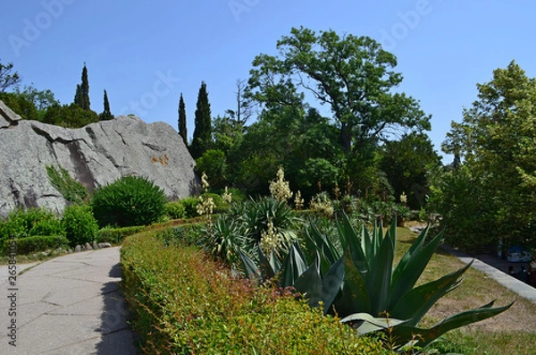 Obraz the Vorontsov Palace with the Park and sculptures