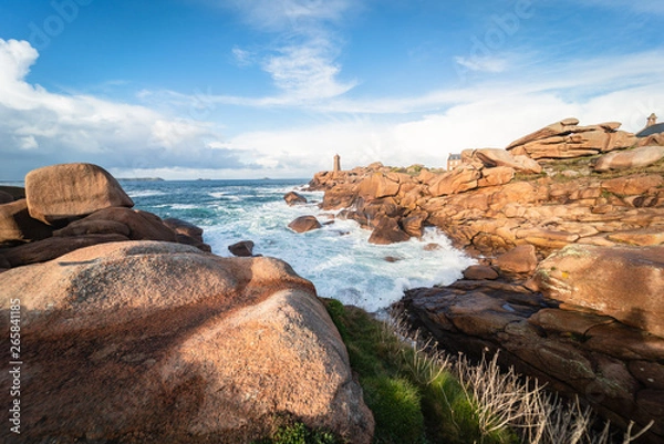 Obraz Cote française