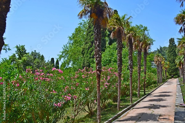 Fototapeta the Vorontsov Palace with the Park and sculptures