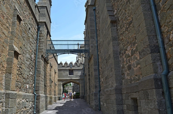 Obraz the Vorontsov Palace with the Park and sculptures