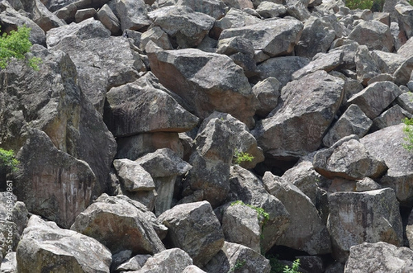 Obraz the Vorontsov Palace with the Park and sculptures