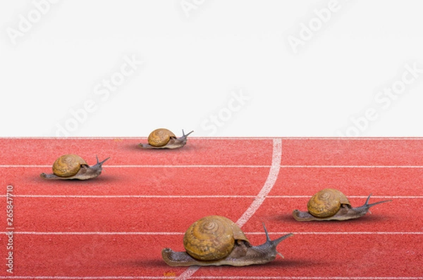 Obraz Snail effort running on red rubber track isolated on white