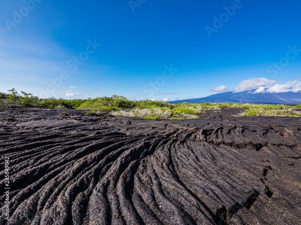 Fototapeta Beautiful volcanic landscape of Punta Moreno in Isabela Island, Galapagos, Ecuador