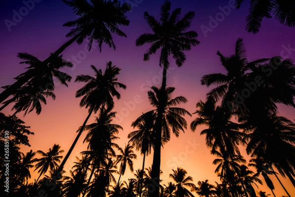 Obraz tropical beach with coconut tree at sunset 