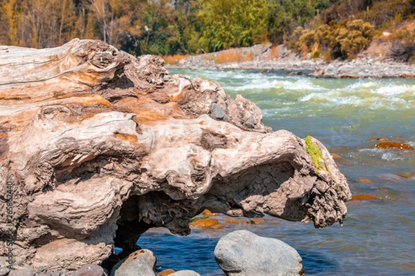 Obraz Rocas en el río