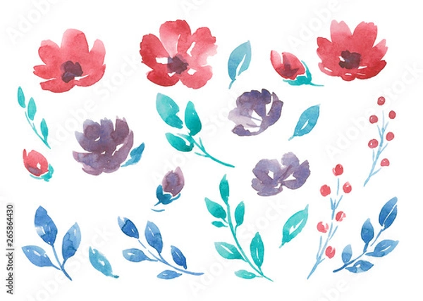 Obraz Watercolor flowers set isolated on white background.