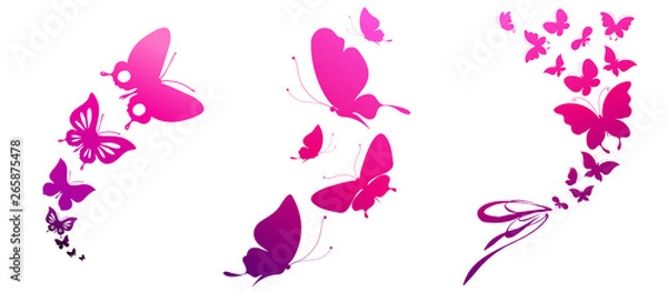 Fototapeta beautiful pink butterflies, isolated  on a white