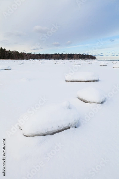 Fototapeta Frozen coast of Baltic sea covered by snow. Boulders, horizon and forest