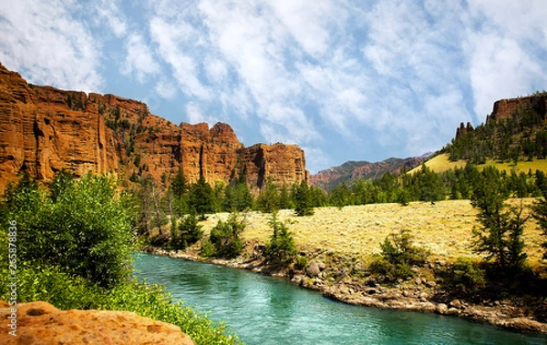 Fototapeta A stream running through a valley dotted with trees between mountain range in a Sunny summer Wyoming landscape