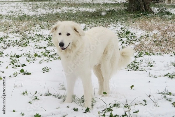 Obraz Matilde e la neve