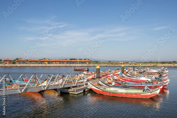 Obraz Murtosa ,Portugal