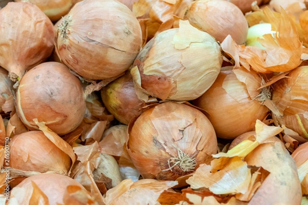 Fototapeta A pile of beautiful bulb onions on a counter