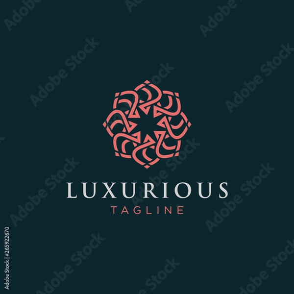Fototapeta Luxury Mandala Logo - Vector logo template