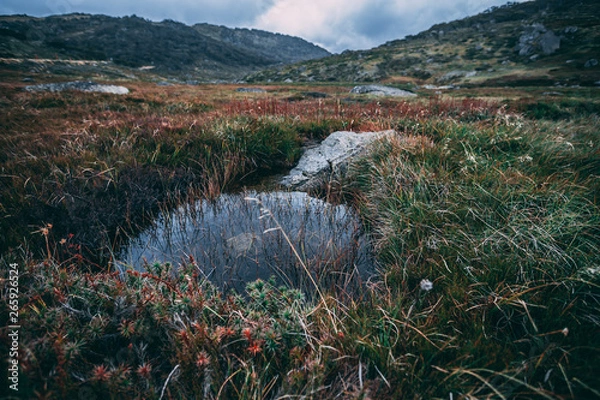 Obraz Pond in the mountains