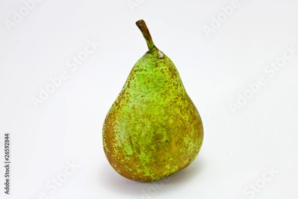 Obraz Pera de Conferencia