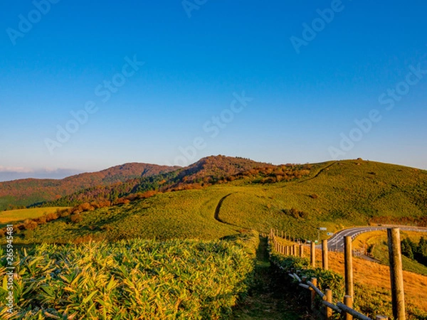 Fototapeta 【静岡県伊豆半島】伊豆山稜線歩道仁科峠付近からの夕景【秋】