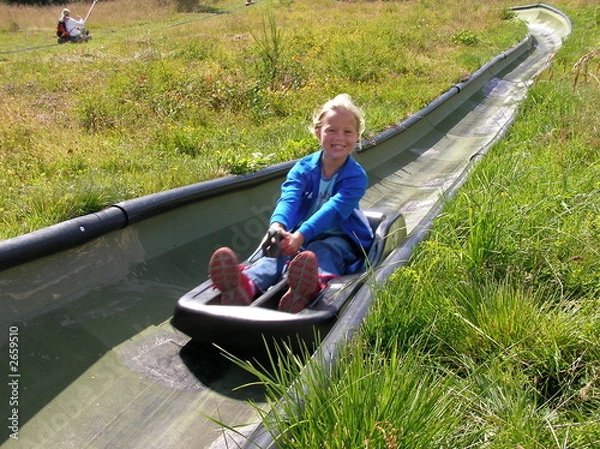 Obraz summer toboggan-run