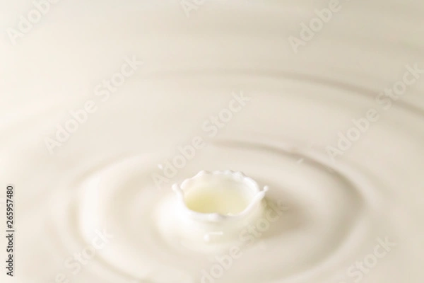 Obraz ミルクの飛沫と波紋