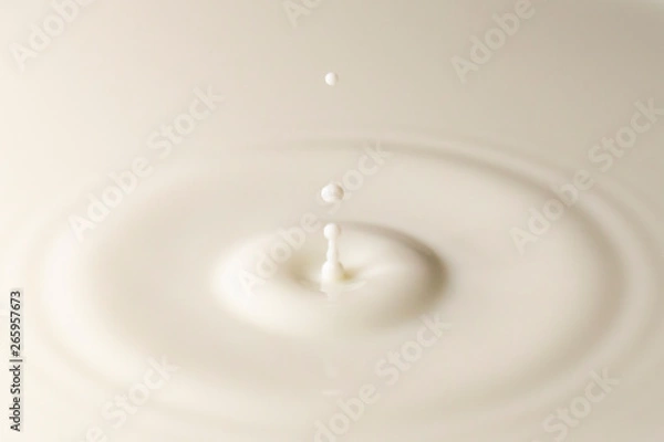 Obraz ミルクの飛沫と波紋