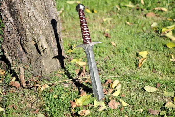 Obraz Sword in the ground