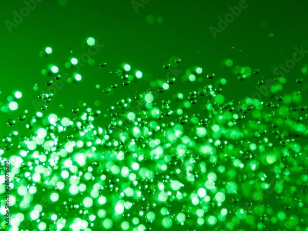 Obraz OLYMPUS DIGITAL CAMERA