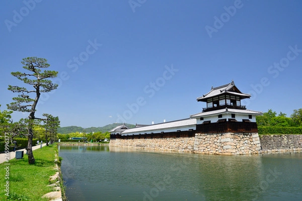 Fototapeta 広島城のお堀