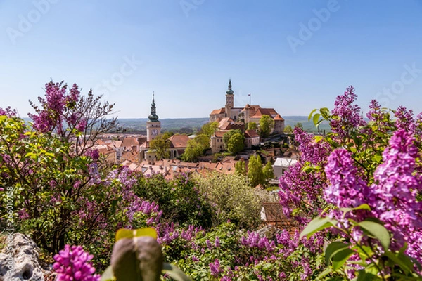 Fototapeta Flowering spring town of Mikulov