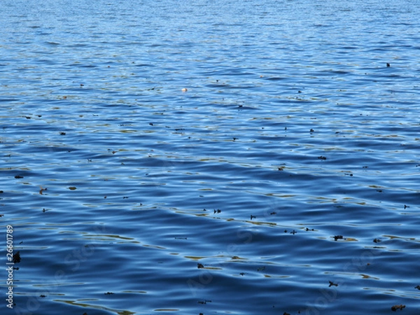 Obraz Blaue Wasseroberfläche