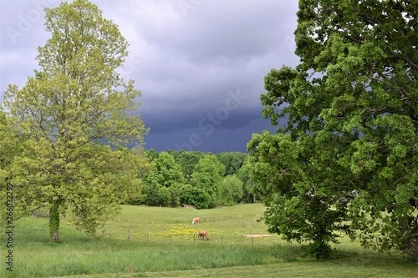 Obraz Approaching storm