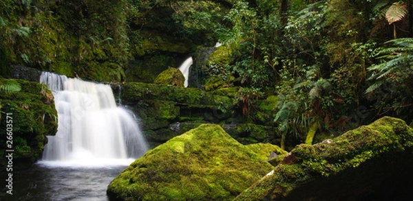 Fototapeta Rainforest stream