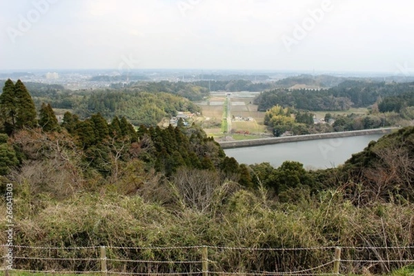 Obraz 昭和の森　展望台から見た九十九里平野県内、有数、規模、誇る、総合公園、日本都市公園100選、選定、園内、四季折々、草花、樹木、野鳥、昆虫、生き物、展望台、ベンチ、テーブル、九十九里、平野、太平洋、水平線、一望、元日、初日の出、見物、訪れる、桜、紅葉、名所、ツツジ、サツキ、ハナショウブ、紫陽花、スイレン、コスモス、花々、咲き誇り、見所、満載、昭和の森、コブクサクラ、開花、アスレチック，ローラー滑り台