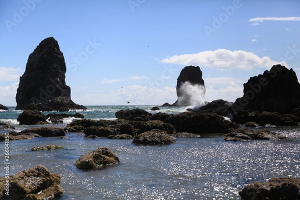 Obraz waves crashing on rocks 
